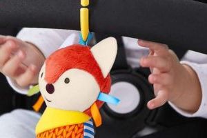 Stroller Toys & Accessories